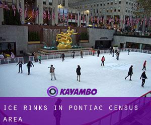 Ice Rinks in Pontiac (census area)