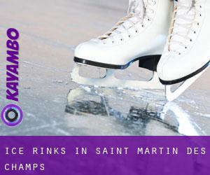 Ice Rinks in Saint-Martin-des-Champs