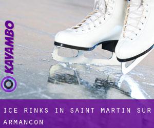 Ice Rinks in Saint-Martin-sur-Armançon