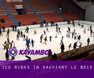 Ice Rinks in Sauvigny-le-Bois