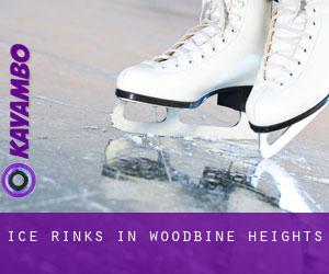 Ice Rinks in Woodbine Heights