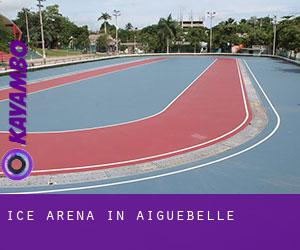 Ice Arena in Aiguebelle