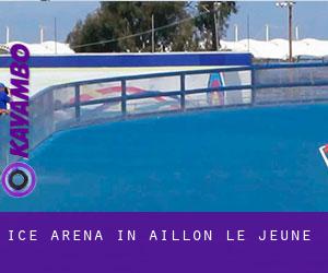Ice Arena in Aillon-le-Jeune