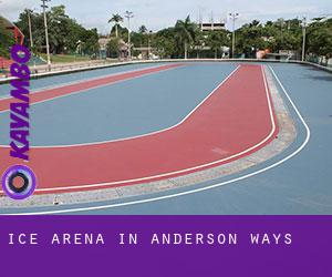 Ice Arena in Anderson Ways