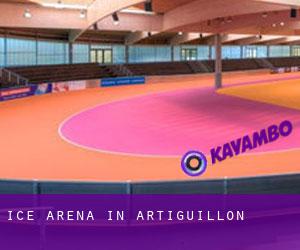 Ice Arena in Artiguillon