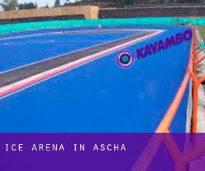 Ice Arena in Ascha