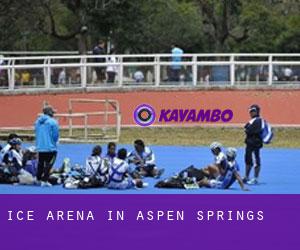 Ice Arena in Aspen Springs