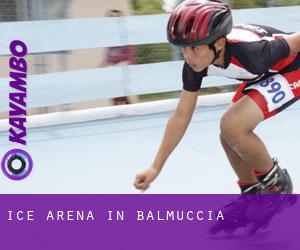 Ice Arena in Balmuccia