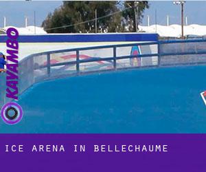 Ice Arena in Bellechaume