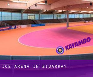 Ice Arena in Bidarray