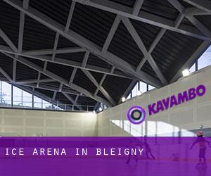 Ice Arena in Bleigny