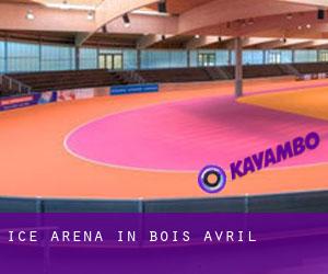 Ice Arena in Bois Avril