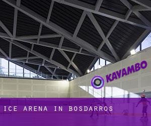 Ice Arena in Bosdarros