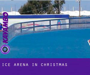 Ice Arena in Christmas