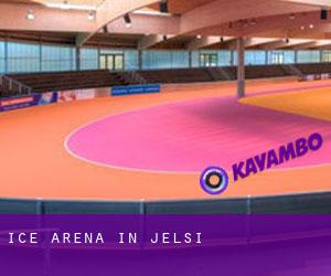 Ice Arena in Jelsi
