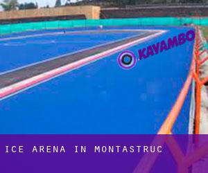 Ice Arena in Montastruc