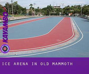 Ice Arena in Old Mammoth