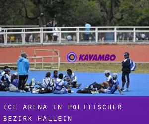 Ice Arena in Politischer Bezirk Hallein