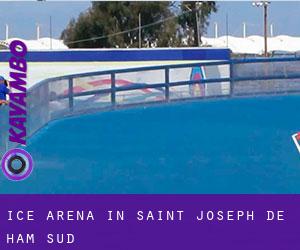 Ice Arena in Saint-Joseph-de-Ham-Sud