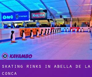 Skating Rinks in Abella de la Conca