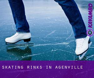 Skating Rinks in Agenville