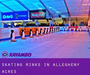 Skating Rinks in Allegheny Acres