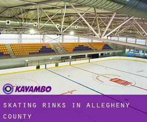 Skating Rinks in Allegheny County