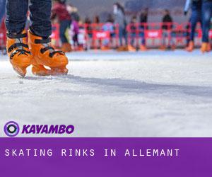 Skating Rinks in Allemant