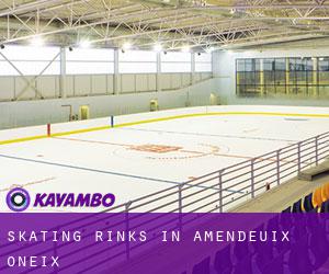 Skating Rinks in Amendeuix-Oneix