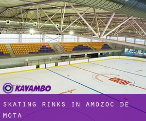 Skating Rinks in Amozoc de Mota