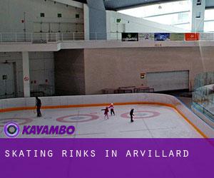 Skating Rinks in Arvillard