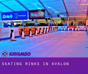 Skating Rinks in Avalon