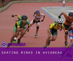 Skating Rinks in Avigneau