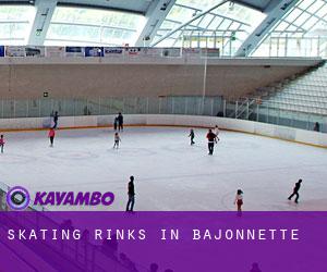 Skating Rinks in Bajonnette