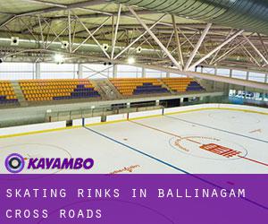 Skating Rinks in Ballinagam Cross Roads