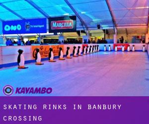 Skating Rinks in Banbury Crossing