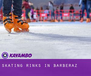 Skating Rinks in Barberaz