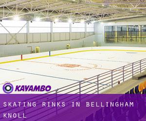 Skating Rinks in Bellingham Knoll