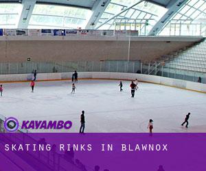 Skating Rinks in Blawnox