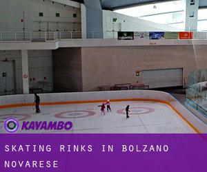 Skating Rinks in Bolzano Novarese