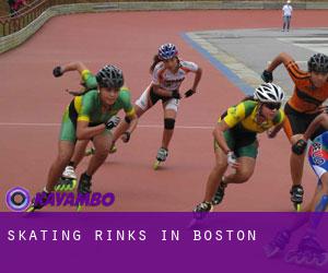 Skating Rinks in Boston