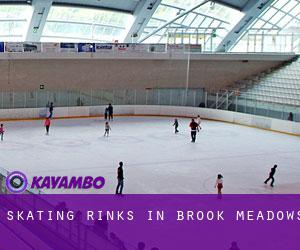 Skating Rinks in Brook Meadows