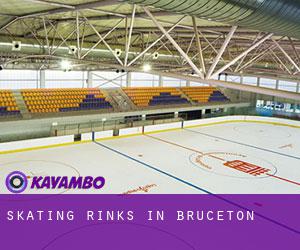 Skating Rinks in Bruceton