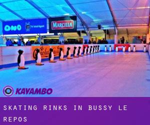 Skating Rinks in Bussy-le-Repos