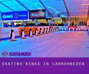 Skating Rinks in Carrowneden