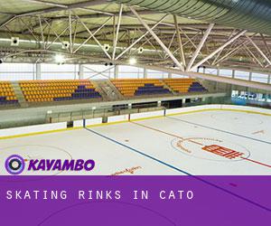 Skating Rinks in Cato