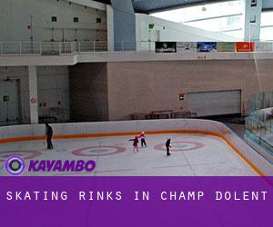 Skating Rinks in Champ Dolent