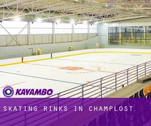 Skating Rinks in Champlost