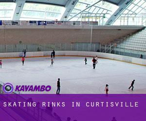 Skating Rinks in Curtisville