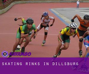 Skating Rinks in Dillsburg